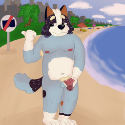 anthro beach blue_body blue_fur fur genitals humanoid_genitalia humanoid_penis male nude_beach penis sea solo water white_body white_fur crystdraws bluey_(series) bob_heeler australian_cattle_dog canid canine canis cattledog domestic_dog herding_dog mammal pastoral_dog 1:1 hi_res