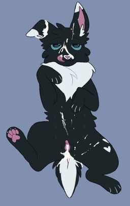 anthro black_body black_fur bodily_fluids cum cum_in_vagina cum_inside cum_on_face female female_feral feral fur genital_fluids male multicolored_body multicolored_fur scut_tail short_tail solo tail two_tone_body two_tone_fur white_body white_fur littleperrito warriors_(book_series) fan_character hoppykit_(igotthebooty) domestic_cat felid feline felis lagomorph leporid mammal rabbit 2026 full-length_portrait hi_res portrait