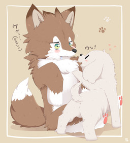 ambiguous_gender brown_body brown_fur chest_tuft countershade_torso countershading dipstick_ears dipstick_tail duo ear_markings feral fur gloves_(marking) kemono leg_markings markings multicolored_ears socks_(marking) tail tail_markings tuft white_body white_fur riza_drawers canid canine canis domestic_dog mammal wolf 2017 hi_res
