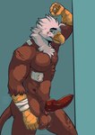 anthro balls beak erection fur genitals knot looking_at_viewer male nude penis red_penis solo standing tail jeanwoof grayson_(gryphdetective) accipitrid accipitriform avian bald_eagle bird eagle sea_eagle digital_drawing_(artwork) digital_media_(artwork) hi_res