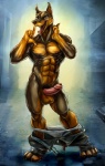 4_toes abs anthro balls belt biceps biped black_nose bodily_fluids bottomwear bottomwear_down brown_balls brown_body brown_eyes brown_fur building claws clothed clothing erection fangs feet foreskin fur genital_fluids genitals glans humanoid_genitalia humanoid_penis leaking light looking_at_viewer male muscular muscular_anthro muscular_male naughty_face night nipples open_mouth pants pants_down partially_clothed partially_retracted_foreskin paws pecs penis pink_foreskin pink_penis pointy_ears pose precum prick_ears pubes public public_erection rape_face red_glans solo standing street teeth toe_claws toes tongue tongue_out topless underwear underwear_down undressing zipper bleakcat canid canine canis dobermann domestic_dog mammal pinscher hi_res