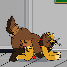 anal anal_penetration anthro bedroom big_butt butt duo genitals knot knotted_penis male male/male on_top penetration penis slightly_chubby doug_polaris doshiba_solaris dougpolaris canid canine canis domestic_dog mammal maned_wolf shiba_inu spitz 1:1 hi_res