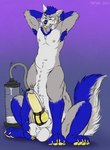 animal_genitalia animal_penis armpit_hair arms_above_head balls belly blue_body blue_eyes blue_fur blue_hair body_hair canine_genitalia canine_penis fur genitals hair hands_behind_head holding_balls knot_restraint machine male milking_cum milking_machine milking_self nipples pawpads penile penis penis_milking raised_arms simple_background slightly_chubby solo vein veiny_penis white_belly yellow_nipples yellow_pawpads yellow_penis marjani beauwolfhusky taur 2024 hi_res