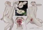 ambiguous_gender anthro aroused blush emotionless female forked_tongue genitals living_tail mouth_hold mouth_play open_mouth pit_organ pupils pussy reference_image slit_pupils snake_tail solo_focus spread_legs spread_pussy spreading steam steamy_breath tail tongue unusual_anatomy unusual_tail white_body vampfemby blanche_(vampfemby) pit_viper reptile scalie snake viper hi_res