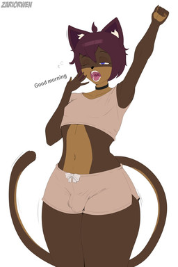 anthro blue_eyes bottomwear brown_body brown_hair bulge cat_tail choker clothing detailed_bulge ears_up female fist hair jewelry necklace one_eye_closed open_mouth shorts simple_background small_bulge solo text thick_thighs wide_hips yawn zariorwen aiki_(zariorwen) domestic_cat felid feline felis mammal hi_res portrait three-quarter_portrait