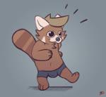 anthro belly brown_body brown_fur bulge clothing fur hair male markings navel ring_(marking) ringed_tail simple_background slightly_chubby solo striped_markings striped_tail stripes tail tail_markings underwear white_ears minedoo minedoo_(character) ailurid mammal red_panda 2019 2d_animation animated frame_by_frame loop no_sound short_playtime signature webm