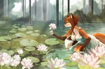 anthro bent_over blush breasts cleavage clothed clothing crouching female flower gloves handwear holding_flower holding_object lake landscape lilies lotus_(flower) plant pond solo summer text tree water laffisa canid canine fox mammal absurd_res english_text hi_res