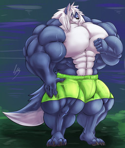 4_toes 5_fingers anthro big_muscles boxers_(clothing) clothed clothing eyewear feet fingers fur glasses hair huge_muscles hyper hyper_muscles male multicolored_body multicolored_fur muscular muscular_anthro muscular_male plantigrade smile solo standing toes underwear underwear_only white_hair fierglief canid canine canis mammal wolf 2015 hi_res