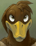 anthro brown_body brown_feathers feathers green_eyes looking_at_viewer male simple_background solo amara_telgemeier charlie_(toki) anatid anseriform avian bird duck 2013