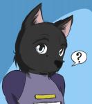 abstract_background black_body black_fur black_nose blue_background clothing fur hair male question_mark shirt short_hair simple_background solo topwear white_eyes kurapika raven_wolf yula_(raven_wolf) canid canine canis mammal wolf reaction_image