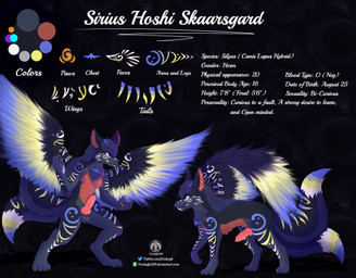 anthro breasts dark_body dark_fur fangs feral fur genitals herm intersex knot multi_tail pawpads penis solo tail teeth text wings senz sirius_hoshi_skaarsgard thro canid canine canis hybrid mammal wolf absurd_res english_text hi_res model_sheet url