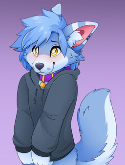 anthro black_eyebrows blue_body blue_fur blue_hair blush cheek_tuft clothing collar ear_piercing eyebrows facial_tuft fur grey_clothing grey_hoodie grey_nose grey_topwear hair hoodie inner_ear_fluff looking_up male piercing pupils purple_collar short_hair shy simple_background smile snout solo tail topwear tuft yellow_eyes yellow_pupils feve canid canine mammal colored digital_drawing_(artwork) digital_media_(artwork) hi_res portrait shaded three-quarter_portrait