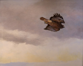 ambiguous_gender beak brown_body cloud feral flying realistic sky solo wings geordie_millar accipitrid accipitriform avian bird buteo chickenhawk red-tailed_hawk painting_(artwork) traditional_media_(artwork) traditional_painting_(artwork)