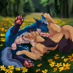 animal_genitalia animal_penis anthro bodily_fluids canine_genitalia canine_penis cum duo fellatio feral genital_fluids genitals licking male male/male oral pawpads paws penile penis penis_lick sex spread_legs spreading tongue jetraraven binaryfox clicky canid canine canis coyote fox mammal absurd_res hi_res