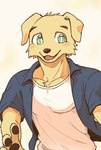 anthro clothed clothing fur green_eyes hair male muscular muscular_male open_clothing open_shirt open_topwear pecs shirt simple_background smile solo standing topwear white_background yellow_body yellow_fur dark_ishihara kaneinu_kosuke canid canine canis domestic_dog mammal hi_res