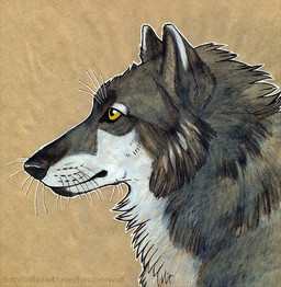 ambiguous_feral ambiguous_gender black_nose cheek_tuft facial_tuft feral fur glistening glistening_eyes grey_body grey_ears grey_fur grey_inner_ear_fluff inner_ear_fluff mouth_closed neck_tuft side_view simple_background solo tan_background tuft whiskers white_body white_fur yellow_eyes heatherwolf canid canine canis mammal wolf