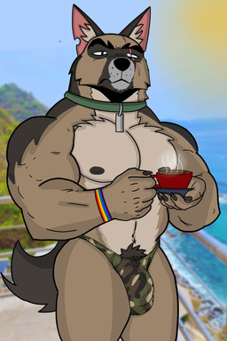 anthro black_nipples bracelet brown_body brown_fur bulge clothing coffee_mug collar fur fur_markings green_collar grey_body grey_fur half-closed_eyes jewelry male markings multicolored_body multicolored_fur muscular narrowed_eyes nipples photo_background pubes scar solo underwear ivan_the_artist brutus_(pixie_and_brutus) canid canine canis domestic_dog german_shepherd herding_dog mammal pastoral_dog 2025 hi_res mixed_media photography_(artwork)
