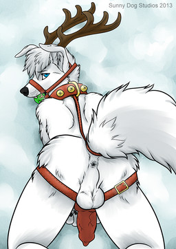 animal_genitalia animal_penis anthro anus backsack ball_gag balls bdsm bell belt bent_over biped blue_eyes bondage bound butt canine_genitalia canine_penis cloud collar collar_only erection fur gag gagged genitals hair halter harness harness_ball_gag harness_gag harness_only knot looking_at_viewer looking_back lying male muzzle_(object) muzzled nude outside penis rear_view sky snow solo submissive submissive_male vein veiny_penis winter noktivus canid canine canis domestic_dog husky mammal nordic_sled_dog spitz 2013