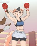 anthro beaten_up blood bodily_fluids boxing boxing_attire boxing_gloves clothing crying duo female fighting_ring handwear nosebleed sport tears tears_of_joy chamma_retsuden masteroflasagna olletta macropod mammal marsupial wallaby hi_res