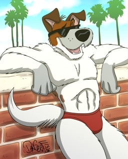 anthro anthrofied bent_ears black_nose brick brick_wall brown_ears brown_spots clothed clothing cloud cloudy_sky eyewear fur grey_hands male muscular muscular_male palm_tree plant red_clothing red_speedo red_swimwear resting_arms sky solo speedo speedo_only spots sunglasses swimwear tail text topless tree wall_(structure) white_body white_fur white_legs white_tail dangerfuzz disney oliver_and_company dodger_(disney) canid canine canis domestic_dog mammal 2018 hi_res