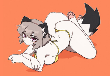 4_toes anthro barefoot big_breasts bikini black_body black_fur breasts claws clothing feet female female_anthro fur gold_bikini grey_hair hair kemono looking_at_viewer orange_background pawpads paws pink_eyes simple_background solo swimwear tail toe_claws toes two-piece_swimsuit white_body white_fur kloe_mone golden_week kloe_(kloe_mone) mammal mustelid musteline stoat true_musteline weasel 2026 digital_media_(artwork) hi_res
