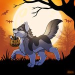 bone candy dessert ears_up eyes_closed feral food fruit full_moon holidays jack-o'-lantern male moon night night_time orange_glow outside pawpads paws plant pumpkin raised_tail tail tree trick-or-treating walking mirri halloween bat canid canine canis mammal wolf 2024 hi_res