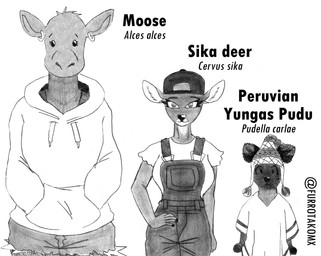 bottomwear clothing countershade_face countershading ear_piercing ear_ring eyelashes female group hat headgear headwear hoodie hotpants overalls piercing poncho ring_piercing shorts simple_eyes straps topwear trio efradraws cervine deer mammal moose new_world_deer peruvian_yungas_pudu pudu sika_deer absurd_res graphite_(artwork) hi_res monochrome traditional_media_(artwork)