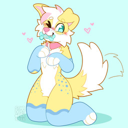 anthro blue_body blue_eyes blue_fur blush blush_lines cheek_tuft chest_tuft collar collar_only eyebrows facial_tuft fangs freckled_face freckles fur hair heart_symbol kneeling looking_back male markings multicolored_body multicolored_fur nude object_in_mouth one_eye_closed pink_collar pink_hair pink_markings pink_nose short_hair simple_background smile solo tail tail_motion tailwag teeth tuft white_body white_eyebrows white_fur white_hair yellow_body yellow_fur stardustfoxart canid canine canis domestic_dog mammal 1:1 2026 colored dated digital_drawing_(artwork) digital_media_(artwork) flat_colors hi_res