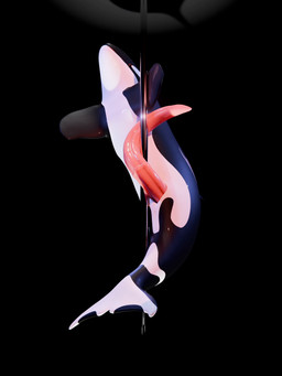 animal_genitalia animal_penis anus big_penis black_body cetacean_genitalia cetacean_penis dancing erection feral flippers flukes genital_slit genitals glistening glistening_body glistening_genitalia glistening_penis glistening_skin long_penis looking_at_viewer looking_pleasured male multicolored_body open_mouth penis penis_wrap pole pole_dancing prehensile_penis red_eyes red_penis simple_background solo stripper tail tapering_penis throbbing_urethra two_tone_body vein veiny_penis white_body qubane orqa aquatic cetacean dolphin mammal oceanic_dolphin orca toothed_whale 3:4 animated blender_(artwork) blender_cycles_(artwork) digital_media_(artwork) hi_res loop no_sound short_playtime video