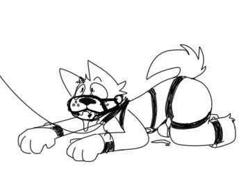 all_fours anthro ball_gag bdsm bodily_fluids bondage bound collar cuff_(restraint) cum drooling ejaculation erection fur gag gagged genital_fluids genitals hair hands-free harness leash leash_pull male nude penile penis restraints saliva simple_background solo submissive submissive_male tail canguuro canid canine canis domestic_dog mammal hi_res monochrome