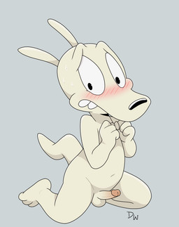 anthro balls blush bodily_fluids erection genitals grey_background humanoid_genitalia humanoid_penis kneeling looking_at_viewer male navel nude penis simple_background solo sweat tail teeth darkwolf79 nickelodeon rocko's_modern_life rocko_rama macropod mammal marsupial wallaby absurd_res hi_res