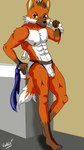 anthro bulge clothing male muscular plantigrade solo underwear rockeythelombax crim ookami canid canine fox mammal de absurd_res hi_res