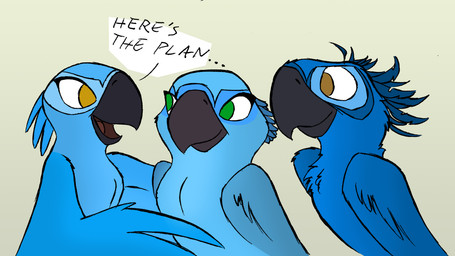 aged_up anthro beak black_beak blue_body blue_feathers brown_eyes feathered_wings feathers female green_eyes group head_feathers male trio wings katnay 20th_century_fox blue_sky_studios rio_(series) bia_(rio) carla_(rio) tiago_(rio) avian bird macaw neotropical_parrot parrot spix's_macaw true_parrot 2014 absurd_res hi_res