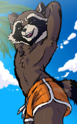anthro armpit_hair body_hair bottomwear brown_body brown_fur bulge clothing cocky_smile fur hotpants low-angle_view male outside pose raised_arms shorts solo swimming_trunks swimwear tropical zimakum guardians_of_the_galaxy marvel rocket_raccoon mammal procyonid raccoon absurd_res colored_sketch digital_drawing_(artwork) digital_media_(artwork) hi_res sketch