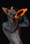 anthro black_background dark_body dark_skin eating food fruit hairless male nipple_piercing nipples nude papaya_(fruit) piercing plant simple_background solo yellow_eyes molvno domestic_cat felid feline felis hairless_cat mammal sphynx_(cat) digital_media_(artwork)