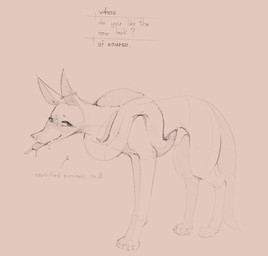 animal_genitalia big_ears dialogue feral food gear genitals long_muzzle long_snout male mostly_nude pointer popsicle popsicle_in_mouth sheath slim snout solo speech_bubble standing faeiyomi canid canine mammal hi_res