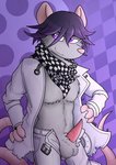 animal_genitalia animal_penis anthro balls clothed clothing erection fur genitals grey_body grey_fur male penis presenting scarf solo tapering_penis zeptophidia danganronpa danganronpa_v3 spike_chunsoft kokichi_oma mammal murid murine rat rodent 2020 hi_res