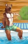 anthro biped brown_body brown_fur clothed clothing cloud fur looking_at_viewer male neck_tuft outside pose sitting sky smile solo swimming_pool swimwear tuft water white_body white_fur demicoeur calem_(ruddrbtt) african_wild_dog canid canine hybrid mammal mustelid otter 2015 digital_media_(artwork) hi_res pinup