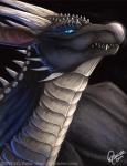 black_body black_scales blue_eyes feral glowing glowing_eyes grin horn looking_at_viewer male membrane_(anatomy) membranous_wings scales smile solo spikes stare teeth text wings quirachen mythology koori dragon mythological_creature mythological_scalie scalie 2014 bust_portrait portrait url