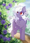 accessory chest_tuft fangs female feral flower flower_in_hair garden hair hair_accessory looking_aside pathway plant red_eyes rose_(flower) shrub solo tail teeth tuft walking white_hair white_tail ashley-arctic-fox hasbro my_little_pony fan_character lucy_dancer bat_pony equid mammal absurd_res hi_res