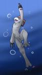 air_bubble anthro anthrofied balls claws cute_fangs fangs flaccid foreskin front_view genitals handpaw male navel nude open_mouth partially_retracted_foreskin paws penis simple_background slim smile solo swimming teeth underwater water kotetsu_rexen bandai_namco digimon digimon_(species) gomamon mammal marine pinniped absurd_res hi_res signature