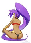 bikini blue_eyes breasts brown_body brown_skin butt clothing ear_piercing ear_ring female hair humanoid_pointy_ears long_hair not_furry piercing pointy_ears ponytail purple_hair ring_piercing simple_background sitting smile solo swimwear text two-piece_swimsuit revenant_(artist) shantae_(series) wayforward shantae genie humanoid hi_res signature url