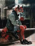 anthro biped blue_eyes bottomwear canid canine class claws clothed clothing detailed_background footwear fox fur hi_res hriscia jacket looking_at_viewer male mammal plantigrade red_body red_fox red_fur shoes shorts sitting solo topwear traditional_media_(artwork) true_fox whiskers