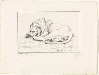 backsack balls digitigrade feral genitals lying lying_on_ground male male_feral mane narrowed_eyes on_ground pawpads paws quadruped side_view solo tail whiskers bernard_picart public_domain felid lion mammal pantherine 1729 18th_century absurd_res ancient_art hatching_(art) hi_res monochrome shaded signature traditional_media_(artwork)
