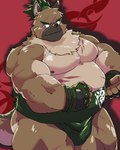 anthro asian_clothing belly brown_body brown_fur clothing east_asian_clothing eyebrows fingerless_gloves fur gloves handwear japanese_clothing male mawashi musclegut muscular nipples pecs scar smile solo thick_eyebrows lost_out_gi lifewonders tokyo_afterschool_summoners yasuyori_(tas) canid canine canis domestic_dog mammal absurd_res hi_res