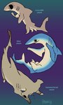 ambiguous_gender feral fin gills group paws tail tail_fin text trio teebsly blue_shark fish ground_shark hammerhead_shark marine requiem_shark shark species_name