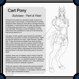 amputation animal_genitalia anthro ball_stretcher ball_weights balls bdsm blinders blinker_hood bondage bondage_gear bound bridle chastity_device chastity_piercing chest_harness cock_and_ball_torture collar cuff_(restraint) equine_genitalia eyewear gag genital_piercing genital_torture genitals halter harness harness_gag information_box inverted_chastity_device looking_at_viewer male mane missing_arm nipple_piercing nipple_reins nipples petplay piercing ponyplay portal_amputation posture_collar reins restraints roleplay sheath simple_background solo thinking_with_portals rabblerouser equid equine mammal hi_res line_art monochrome signature watermark