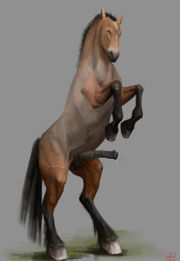 animal_genitalia animal_penis blue_eyes bodily_fluids dripping equine_balls equine_genitalia equine_penis feral fetlocks genital_fluids genitals male markings on_hind_legs penis precum precum_drip short_mane solo star_(marking) vein veiny_belly veiny_legs veiny_penis anask scipio_lucullus_ahenobarbus equid equine mammal absurd_res hi_res signature