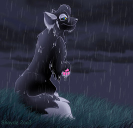 dark detailed_background dipstick_tail female feral markings outside paws raining rear_view solo tail tail_markings toony water wet shayde_(artist) canid canine canis mammal wolf 2003 low_res