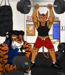 abs anthro athletic barbell biceps big_muscles black_hair black_stripes blue_eyes bottomwear brown_eyes brown_hair brown_nose bulge clothing countershading dumbbell duo exercise footwear fur grin gym hair holding_object looking_at_viewer male markings muscular muscular_male orange_body orange_fur pose punching_bag red_stripes shirt shoes shorts sitting smile standing stripes tank_top teeth topwear weightlifting weights workout iudicium86 ratchet_and_clank sony_corporation sony_interactive_entertainment iudi_(iudicium86) karol_(lombaxtail) alien felid lombax mammal pantherine tiger 2014 hi_res